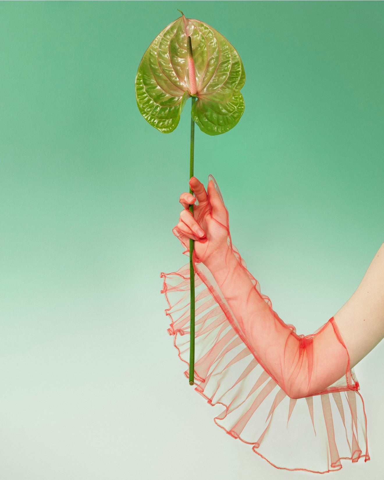 قفازات من التول مزينة بكشكشة