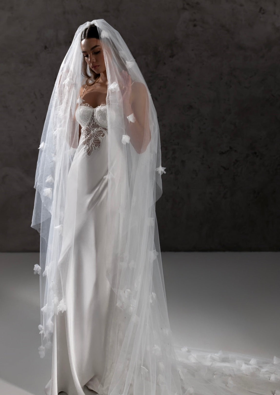 نموذج طرحة كريس