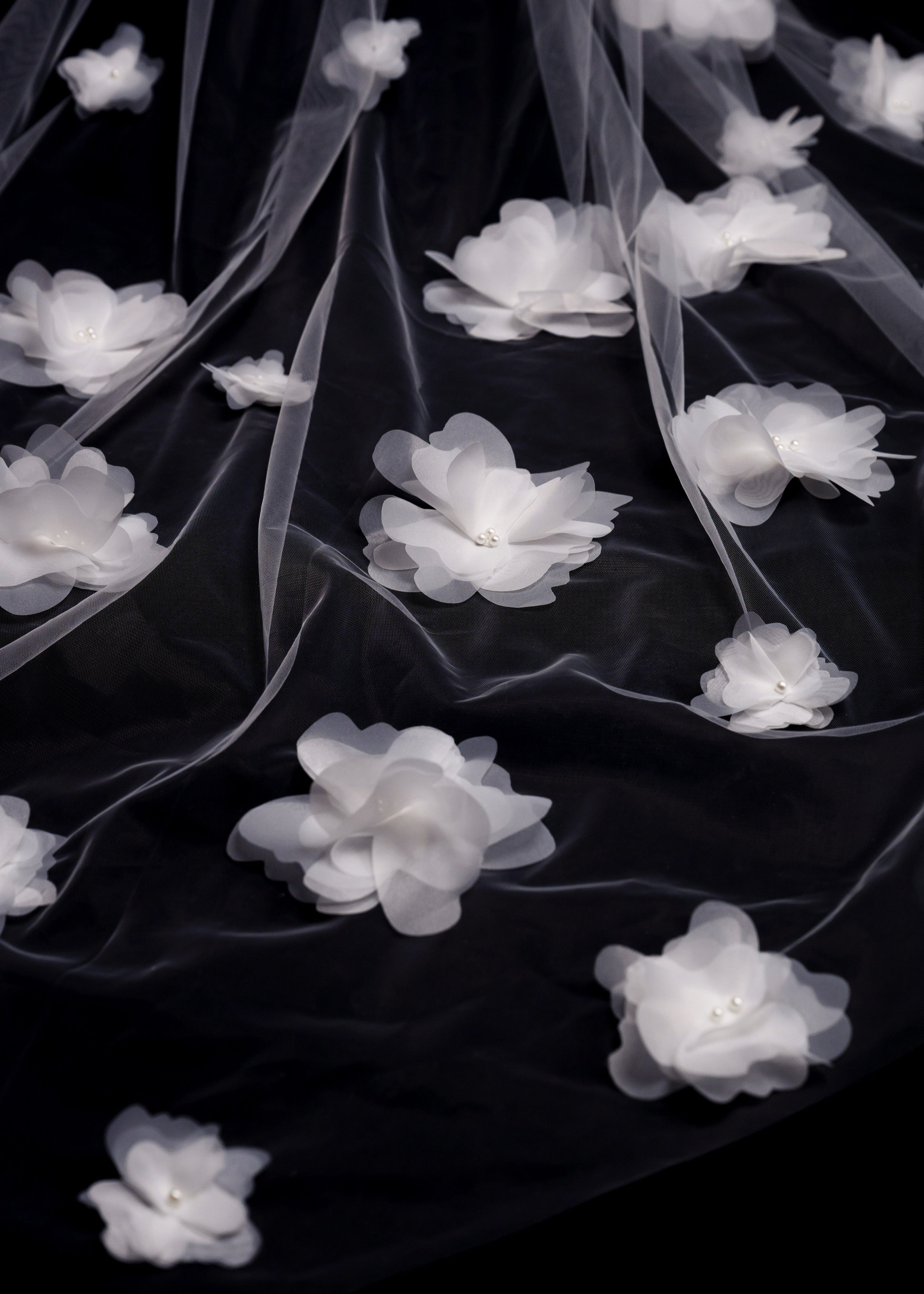 زهرة اللوتس المحجبة