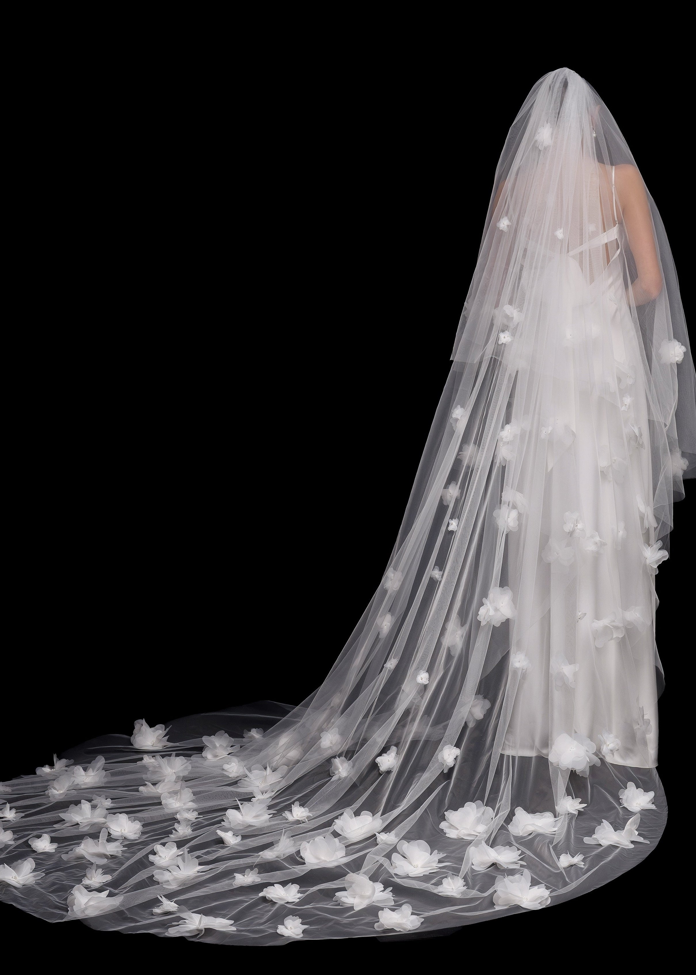 زهرة اللوتس المحجبة