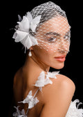 Birdcage veil Butterfly