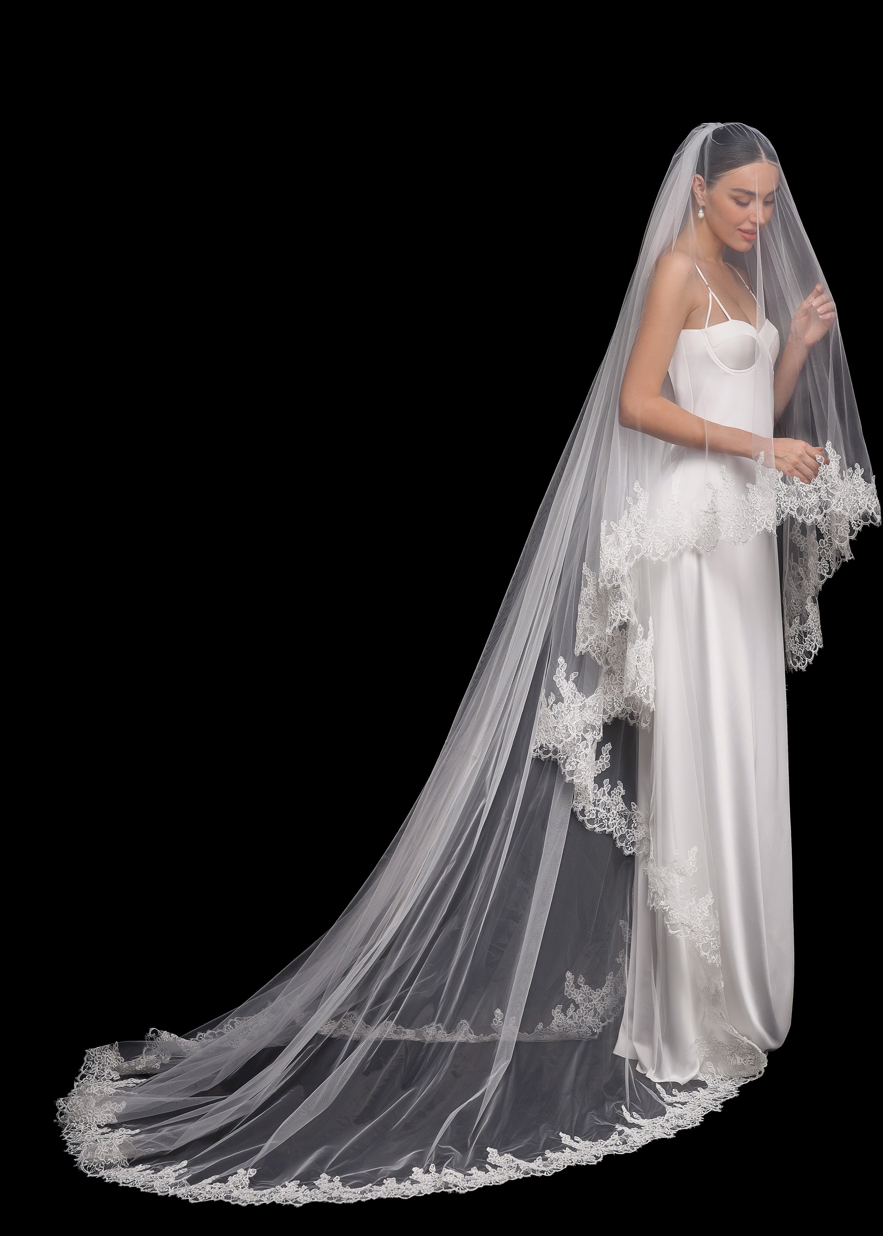 طلب مسبق لألبوم Veil Madonna