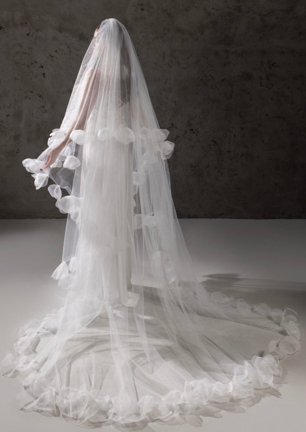 أليس ذات الحجاب 