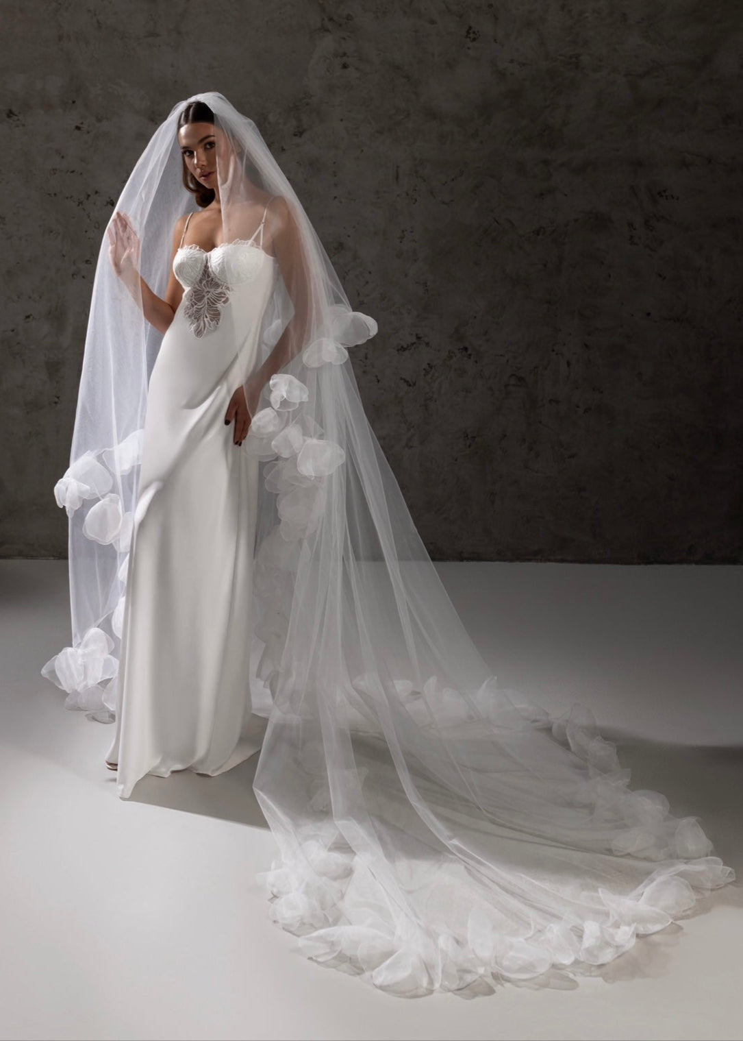 أليس ذات الحجاب 