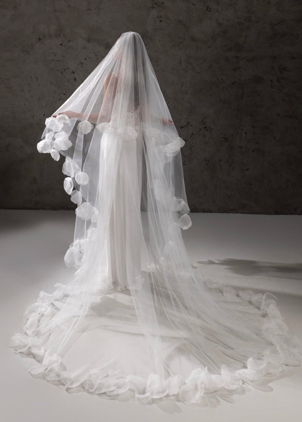 أليس ذات الحجاب 