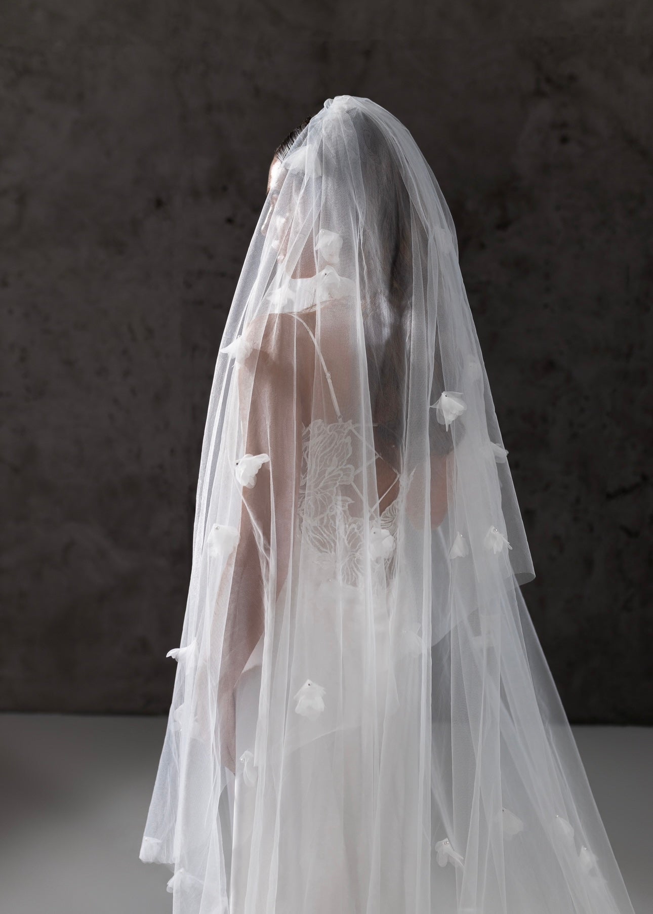 نموذج طرحة كريس