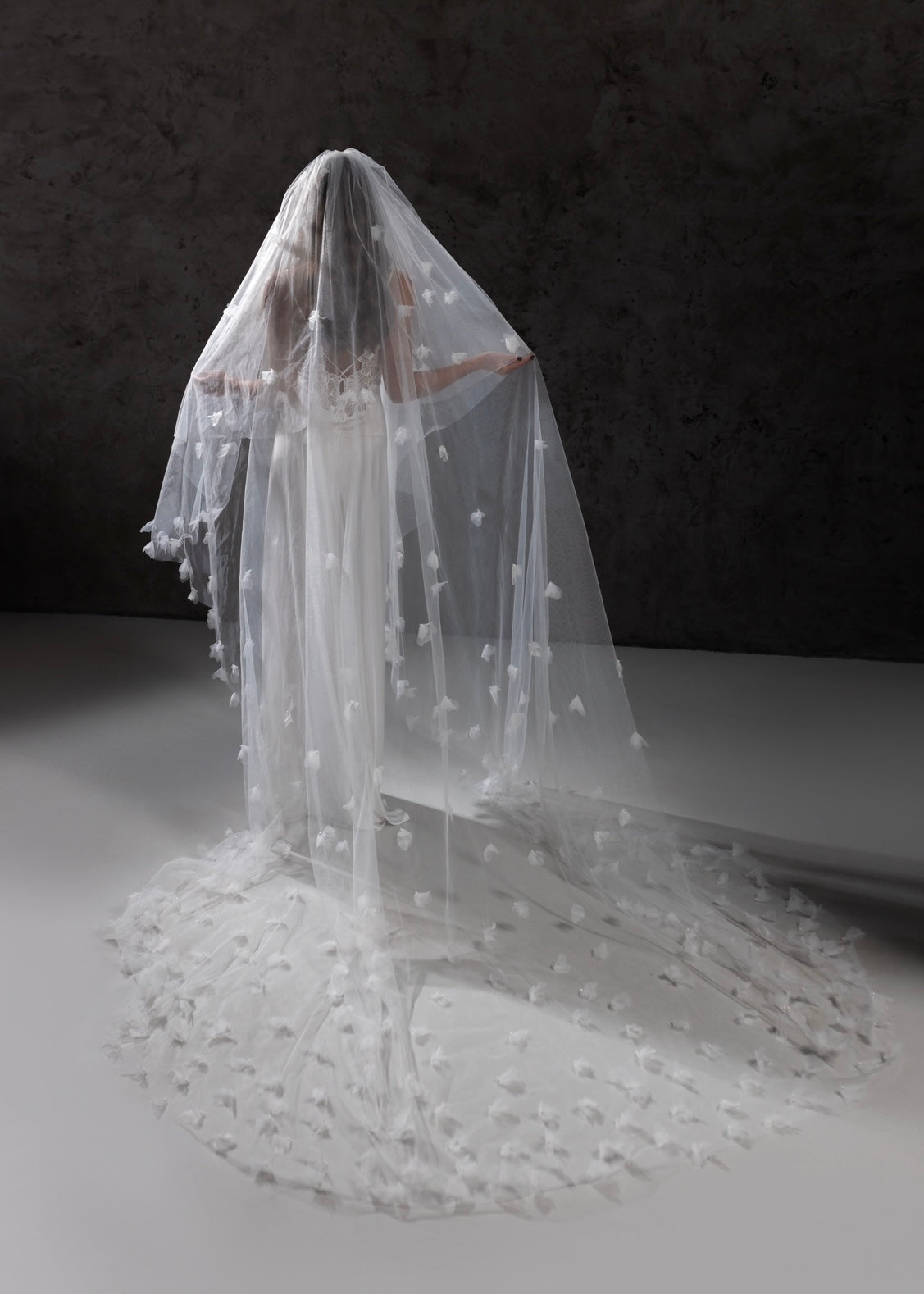 نموذج طرحة كريس